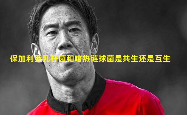 保加利亚乳杆菌和嗜热链球菌是共生还是互生