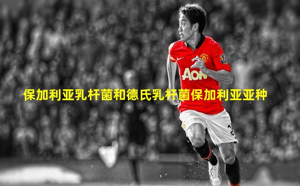 保加利亚乳杆菌和德氏乳杆菌保加利亚亚种
