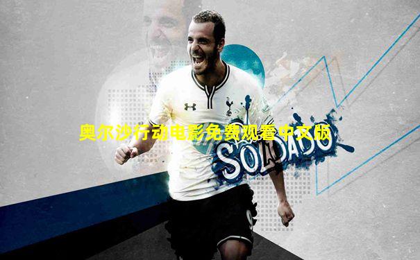 奥尔沙行动电影免费观看中文版