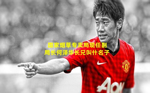 国家烟草专卖局现任副局长何泽华长兄叫什名子