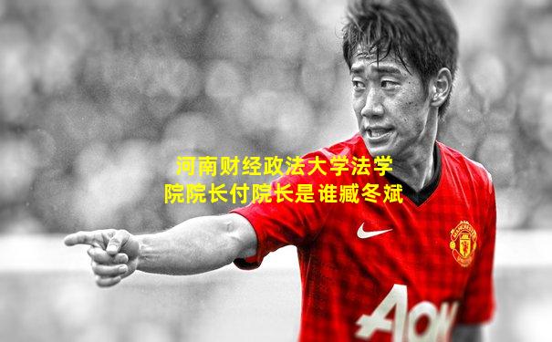 河南财经政法大学法学院院长付院长是谁臧冬斌