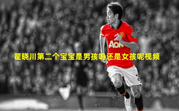 翟晓川第二个宝宝是男孩吗还是女孩呢视频